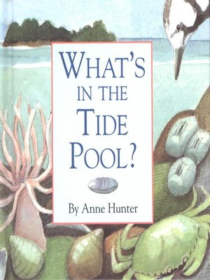 cover image of What's in the Tide Pool?